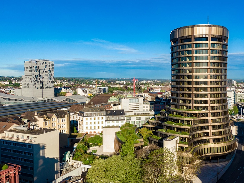 The Bank for International Settlements